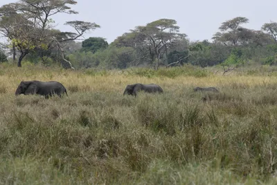 DSC_3602 (Large).JPG